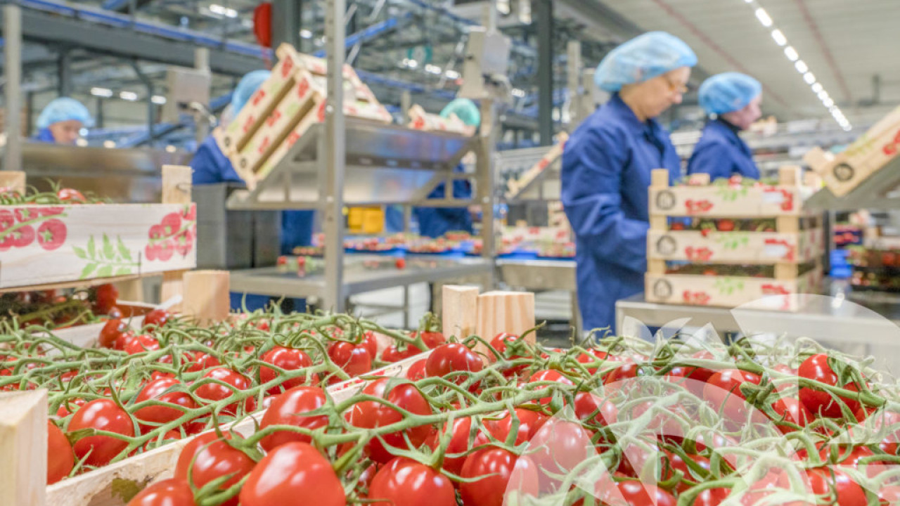 Scherpenhuizen Eindhoven afbeelding 6